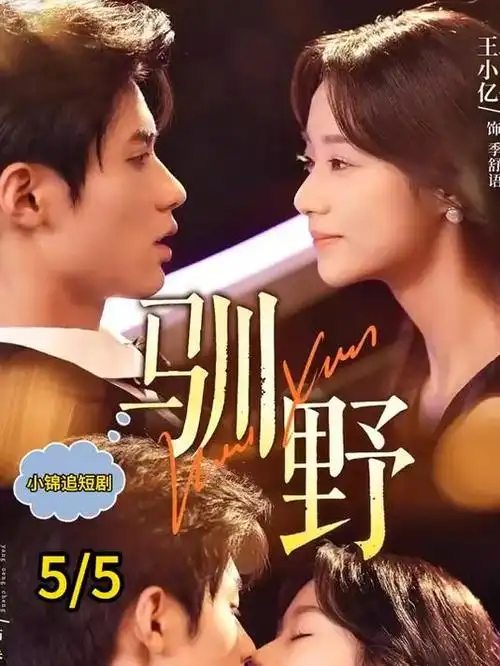 南风知我意 都市情感剧海报